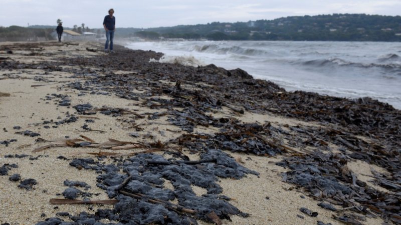 Загрязненное Азовское море