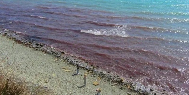 Черное море красного цвета