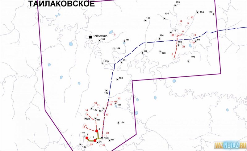 Тайлаковское месторождение карта кустов