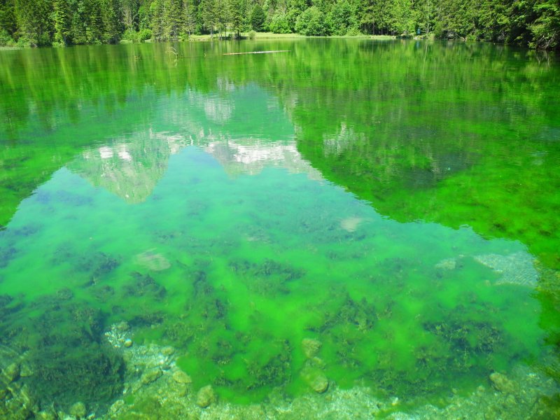 Зеленое озеро Дмитров