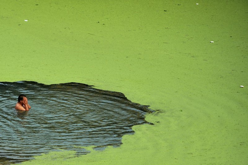 Грязная вода зеленая