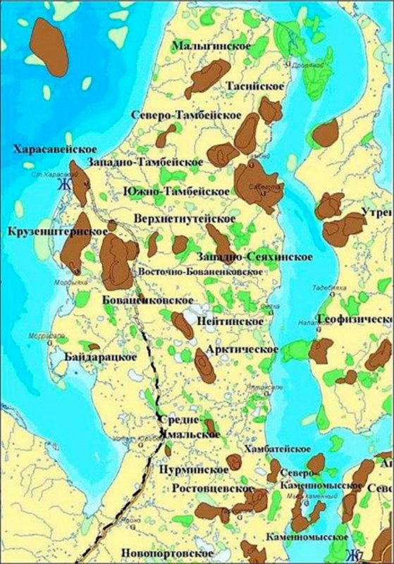 Ямал месторождение Салмановское на карте