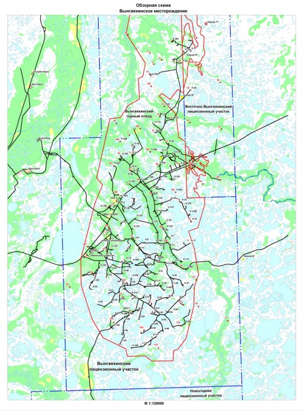 Карта Вынгаяхинского месторождения ЯНАО С кустами